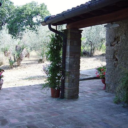 Il Belvedere Di Roccavo Villa Castiglion Fiorentino Exteriör bild