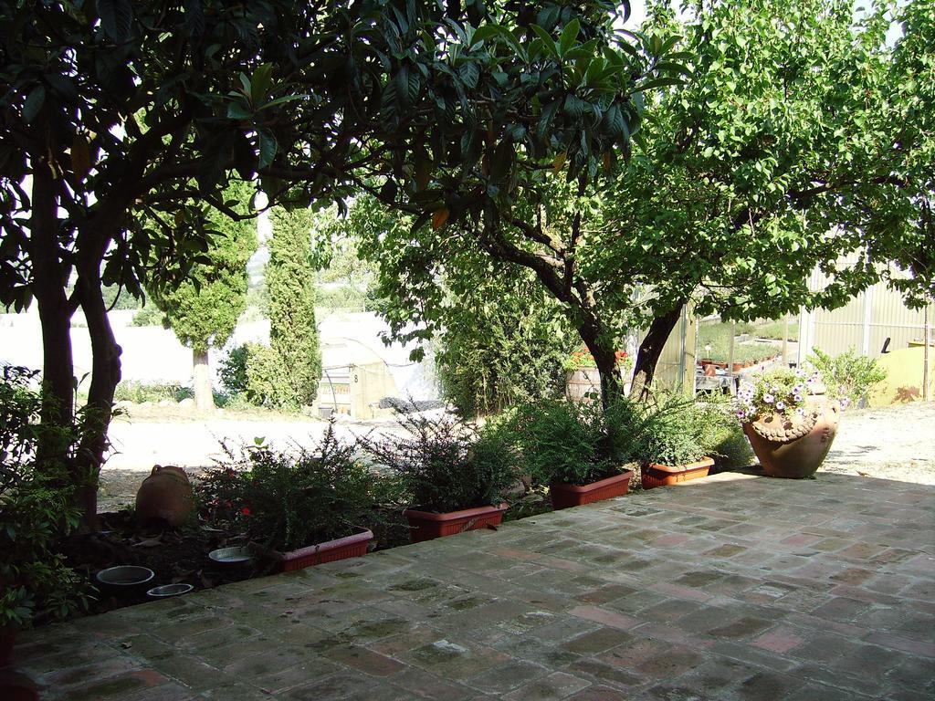 Il Belvedere Di Roccavo Villa Castiglion Fiorentino Exteriör bild