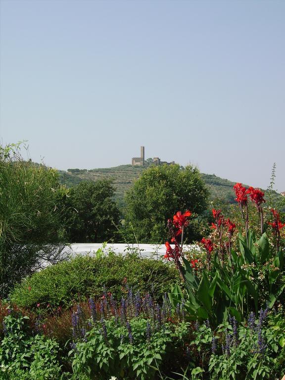 Il Belvedere Di Roccavo Villa Castiglion Fiorentino Exteriör bild
